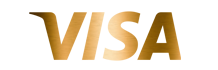 visa-2.png